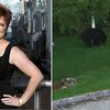 BREAKING: Bear Poops On Real NJ Housewife's Lawn
